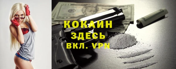 mdpv Няндома