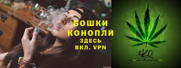 mdpv Няндома
