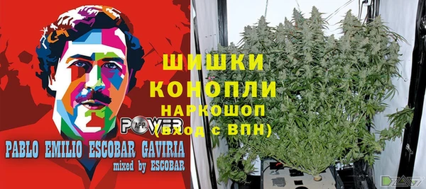 mdpv Няндома