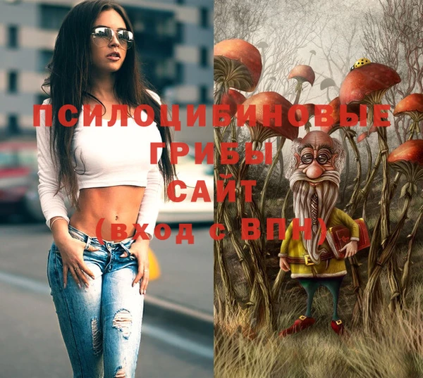 mdpv Няндома
