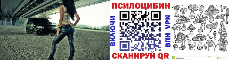 Галлюциногенные грибы Psilocybe  Жуков 